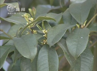 武進(jìn)新聞