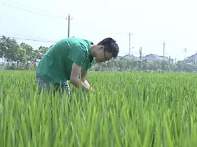 武進新聞