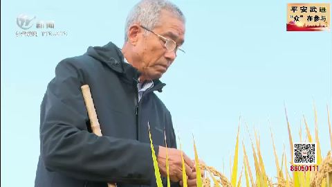 武進(jìn)新聞