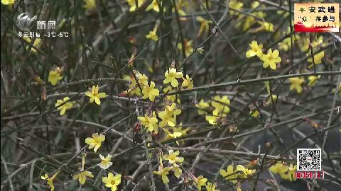 武進(jìn)新聞