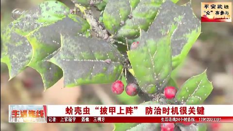 武進(jìn)新聞