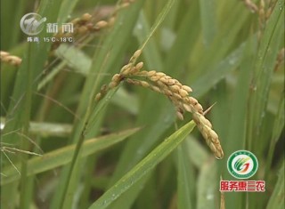 武進(jìn)新聞